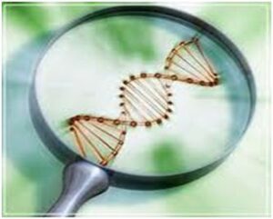 The Double-Edged Sword of Gene Editing